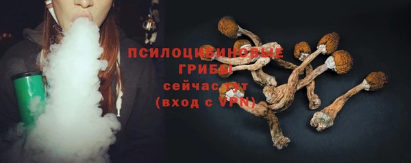 эйфоретик Нея