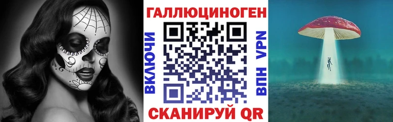 купить закладку  это клад  Галлюциногенные грибы Cubensis  Шелехов 